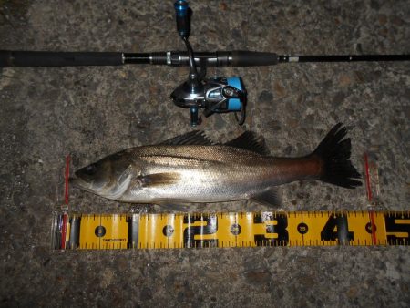 MBPもう終わり???。