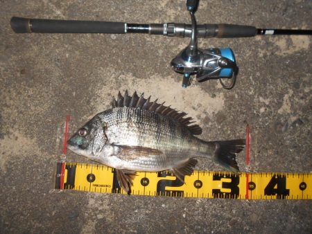 やっぱりRB88が効く?。