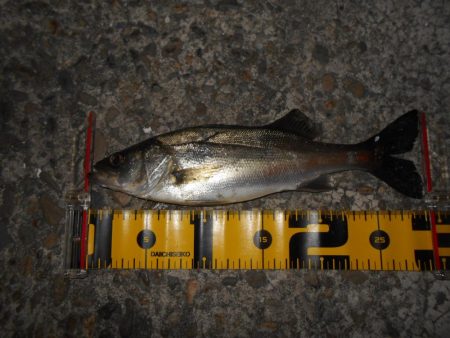 爆風の中で…。