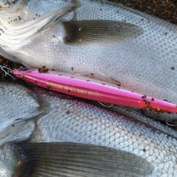 サーフで短時間勝負