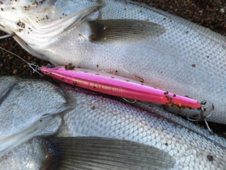 サーフで短時間勝負