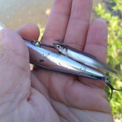 リバーシーバス