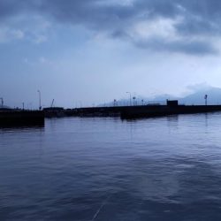 数は上向き 型は下向き