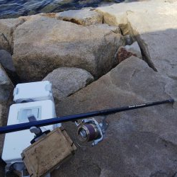 室津のキス釣り