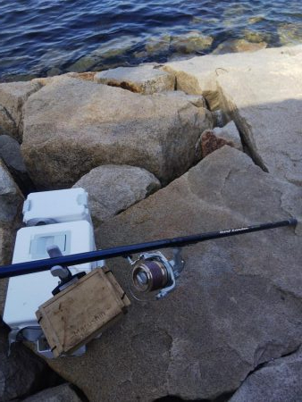 室津のキス釣り