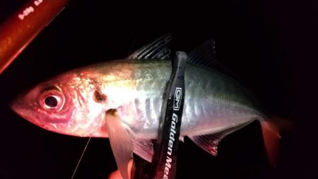 フロートアジング　