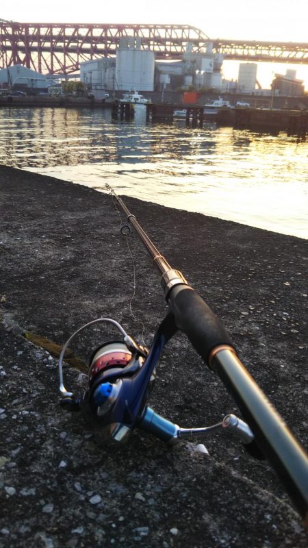 ぶらシーバス！！