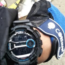 ぶらシーバス！！