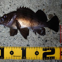 自己記録を求めて