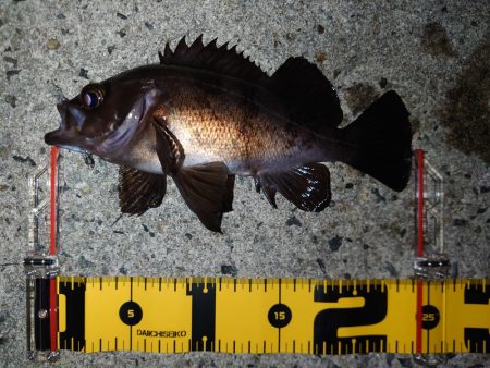 自己記録を求めて