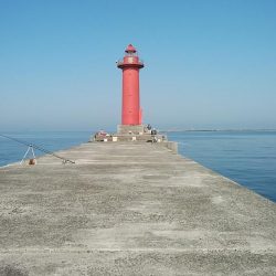 播磨新島のキス調査