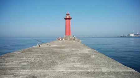 播磨新島のキス調査