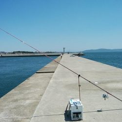 東二見白灯台波止のキス調査