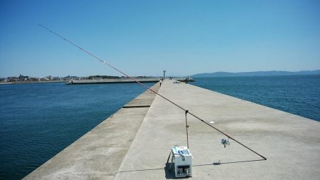 東二見白灯台波止のキス調査