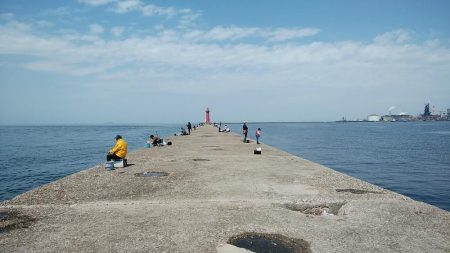 播磨新島のキス調査