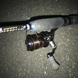 夕マズメのアジング好調