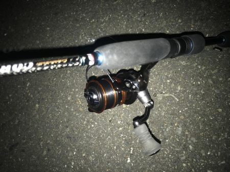 夕マズメのアジング好調