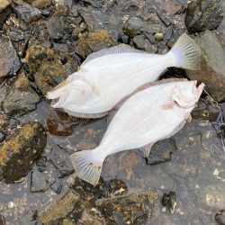 天気がいいので