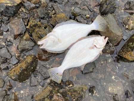 天気がいいので