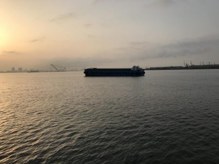 今年初のガシラ