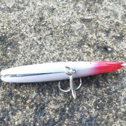 今日はボイルの出た場所で