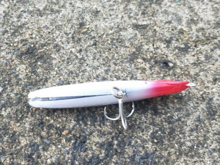 今日はボイルの出た場所で