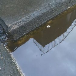 大潮明けたら活発に