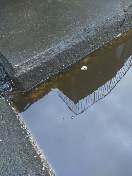 大潮明けたら活発に