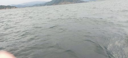 ブリっと出た～