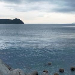 やっとキロイカ