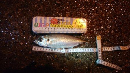 釣りデビュー　121日目