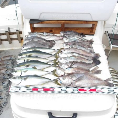 SOUTH釣果　欲張りプラン