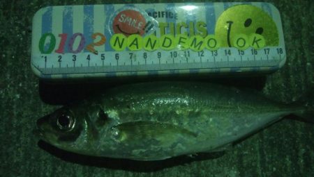 釣りデビュー　132日目