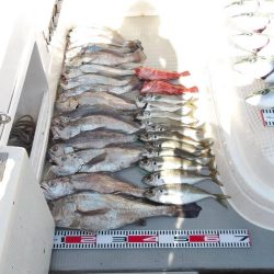 SOUTH釣果 欲張りプラン