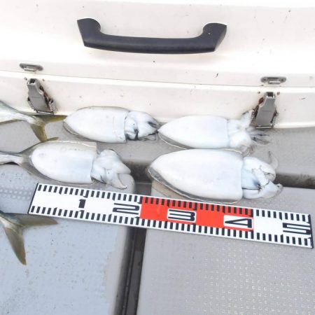 SOUTH チャーター便3名様釣果