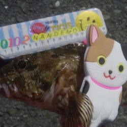 釣りデビュー　139日目