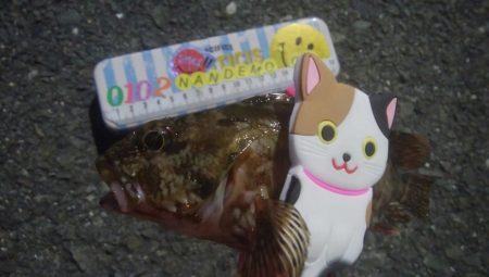 釣りデビュー　139日目