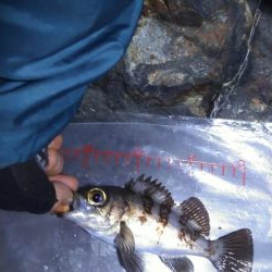 メテオストライク