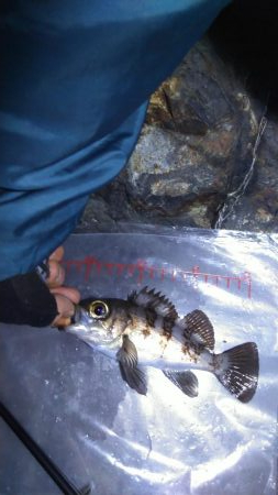 メテオストライク