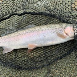 岸和田フィッシングパーク 3桁