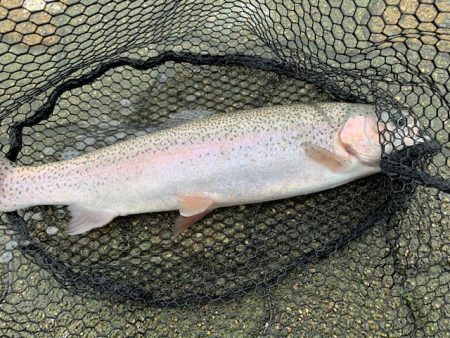 岸和田フィッシングパーク ３桁