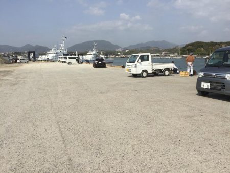 良型コノシロ10匹