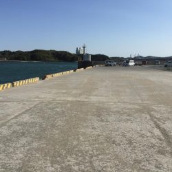 タチウオ90㎝1匹、アジ16匹（良型含む）