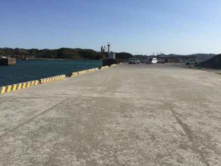 タチウオ90㎝1匹、アジ16匹（良型含む）