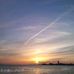 8ヶ月ぶりのご対面