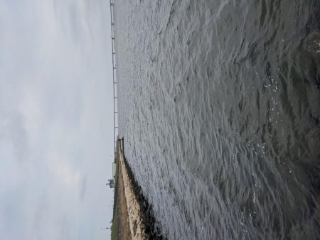 強制ボラリバンウンド