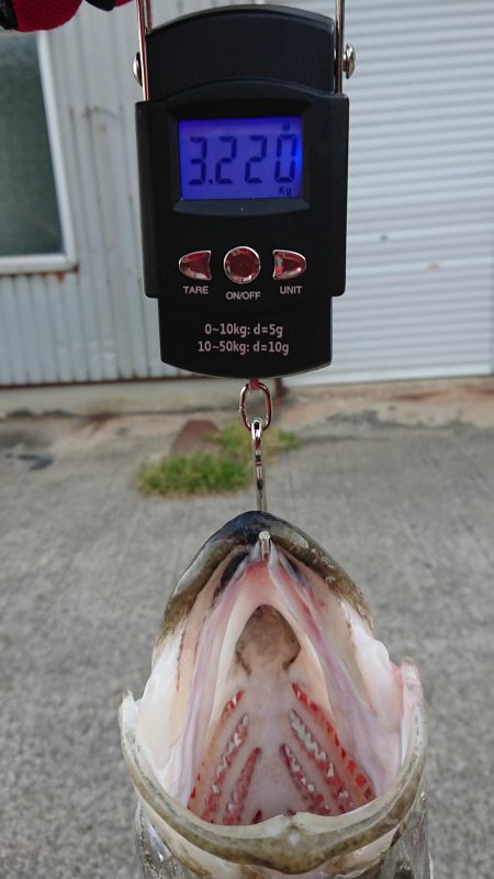 久々に納得の釣果がありました！