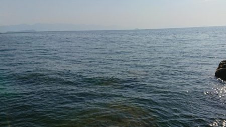 大サバ調査、不発！