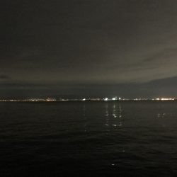 フロートでメバル