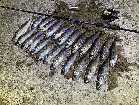 爆風島アジング